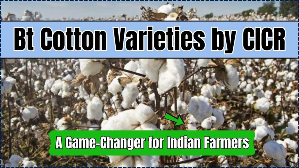 Bt Cotton Varieties by CICR