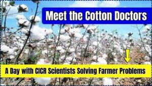 CICR Scientists Solving Farmer Problems