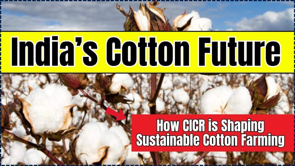 CICR is Shaping Sustainable Cotton Farming