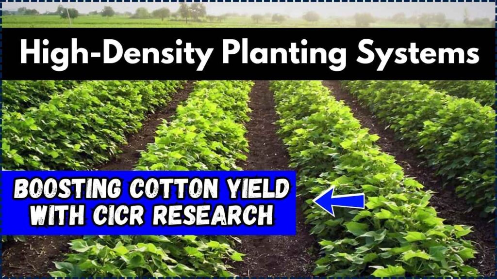 High-Density Planting Systems
