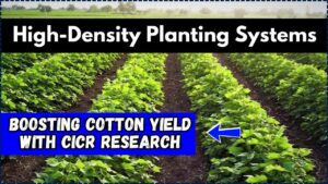 High-Density Planting Systems