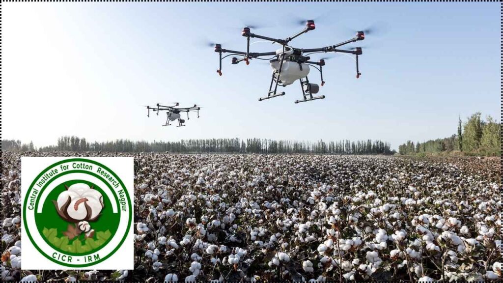 CICR Develops AI-Based Quality Graders