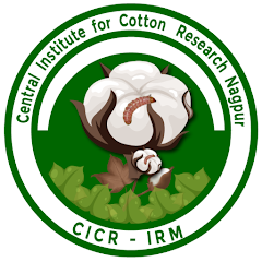CICR’s Cotton