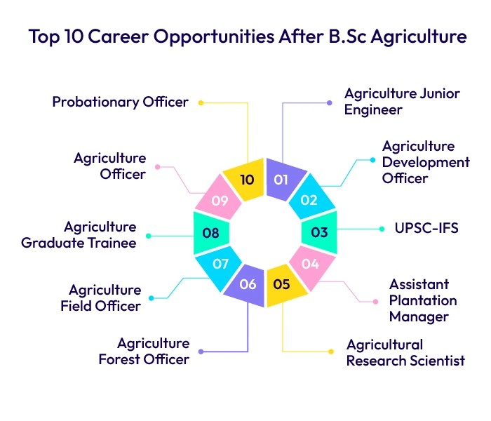 Top Career Opportunities After B.Sc. Agriculture