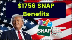 $1756 SNAP Benefits for Florida Families