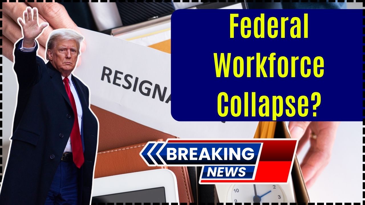 Federal Workforce Collapse