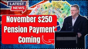 November $250 Pension Payment Coming for these Australians