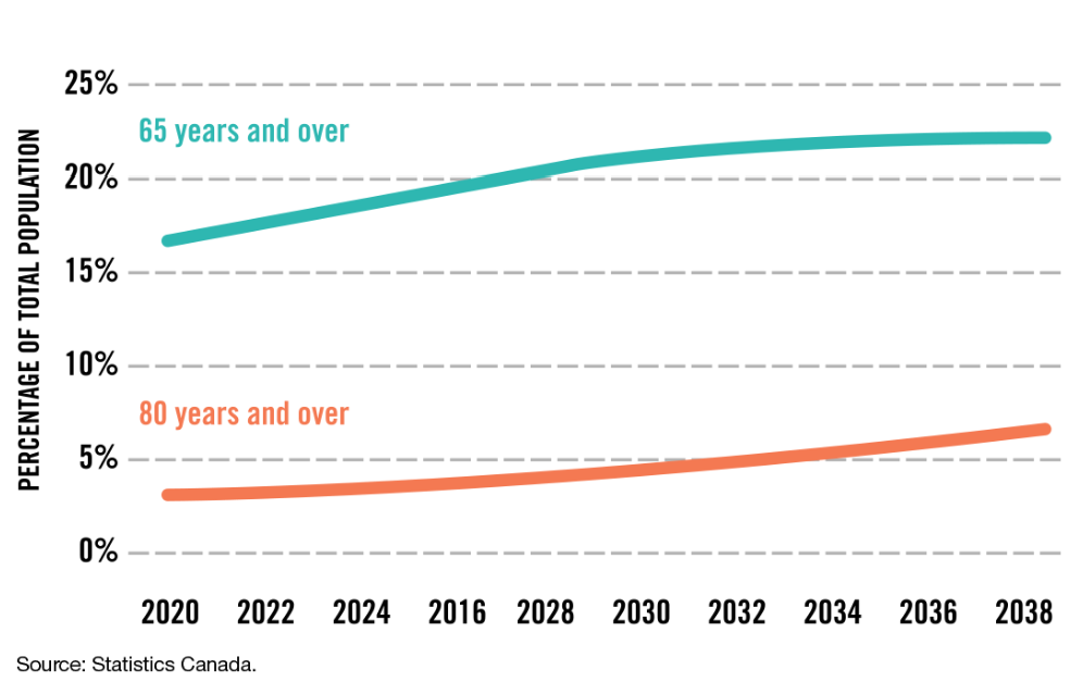Seniors Demographics & Employment