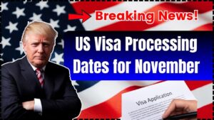 US Visa Processing Dates for November 2025