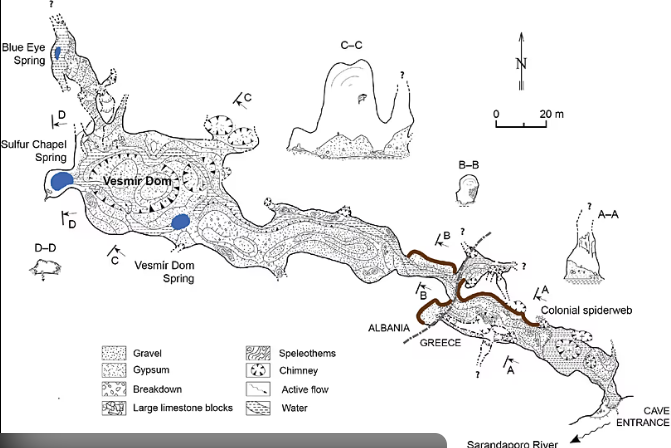 Biggest Spideweb Home