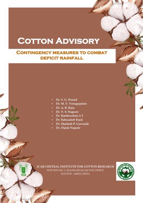 pest_disease_management_cotton