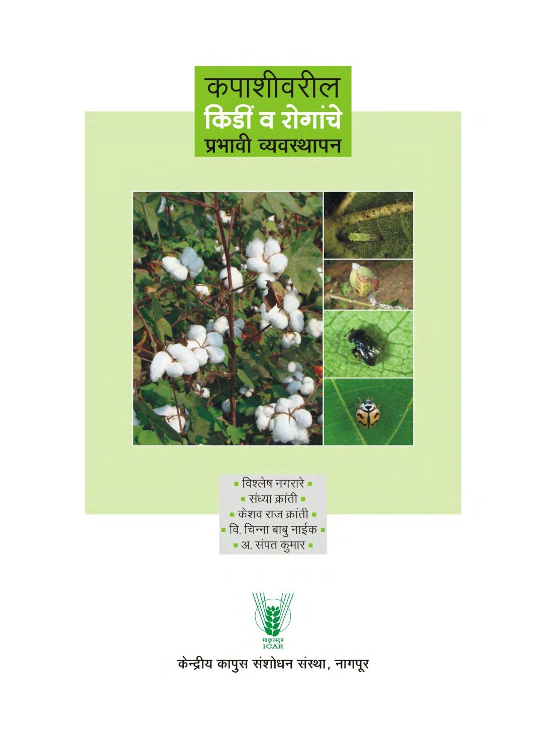 pest_disease_management_cotton